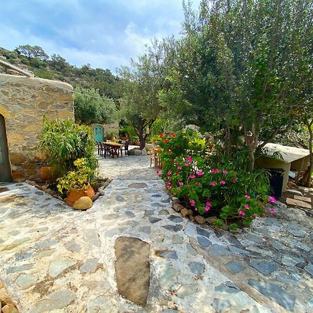 Natura Cottages Makry Gialos  Exterior photo