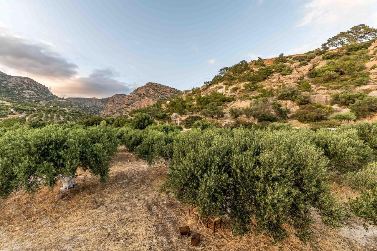 Natura Cottages Makry Gialos  Exterior photo